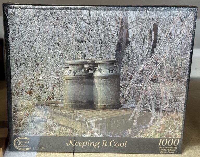 Unique Keeping it Cool Puzzle